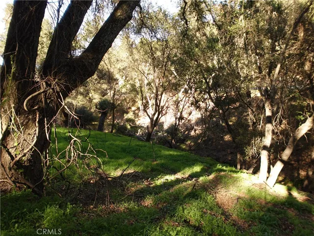 Creek in property