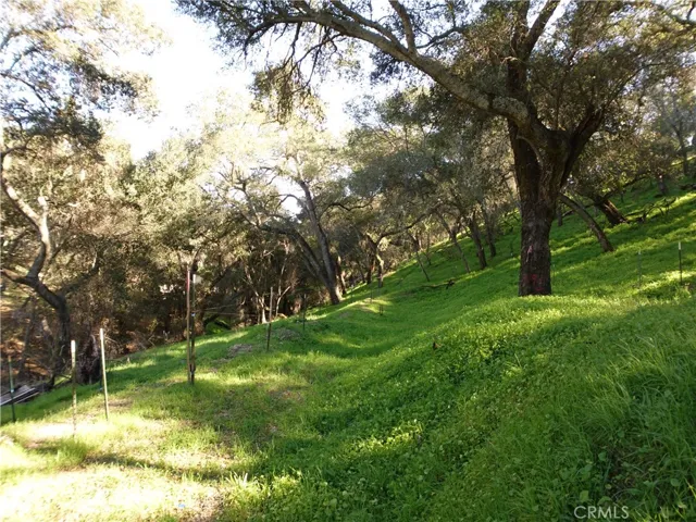 Homesite area