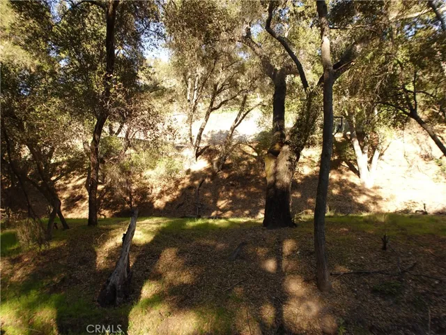 5495 Encino Avenue, Atascadero, California 93422