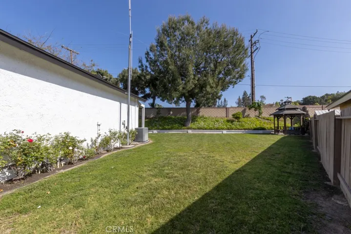 Plenty grass area