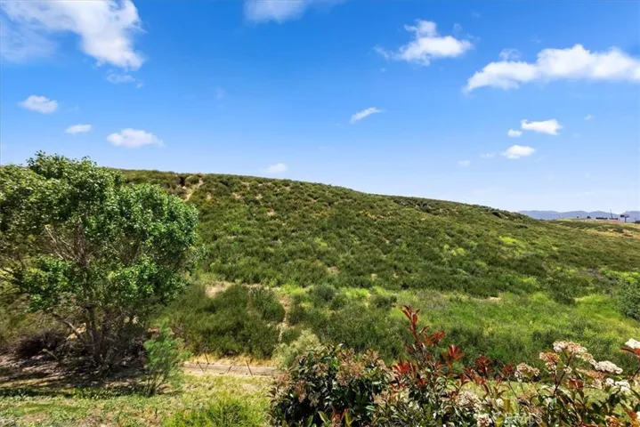 Preserve Behind House