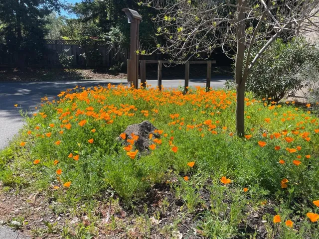 45 Woods Lane, Los Altos, California 94024