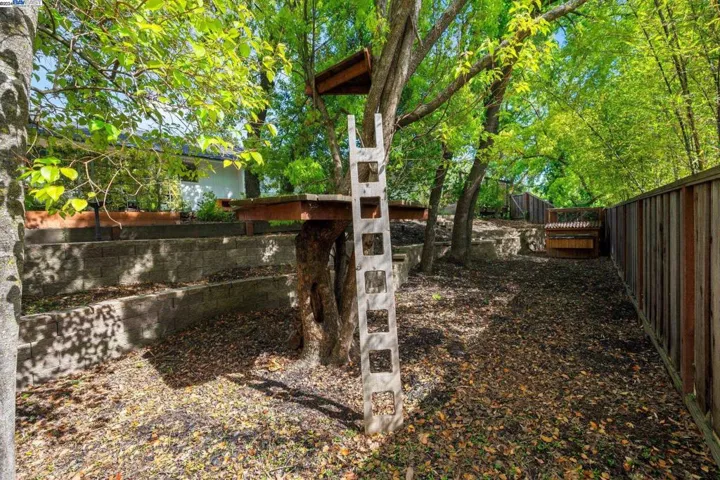 24 Crest Estate Dr, Alamo, California 94507