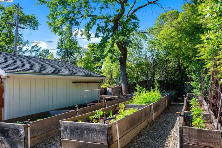 24 Crest Estate Dr, Alamo, California 94507