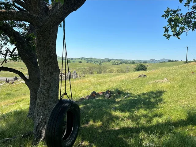 Beautiful spot up at the top of the property.