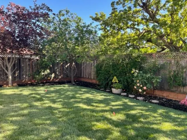 908 Terrace Drive, Los Altos, California 94024