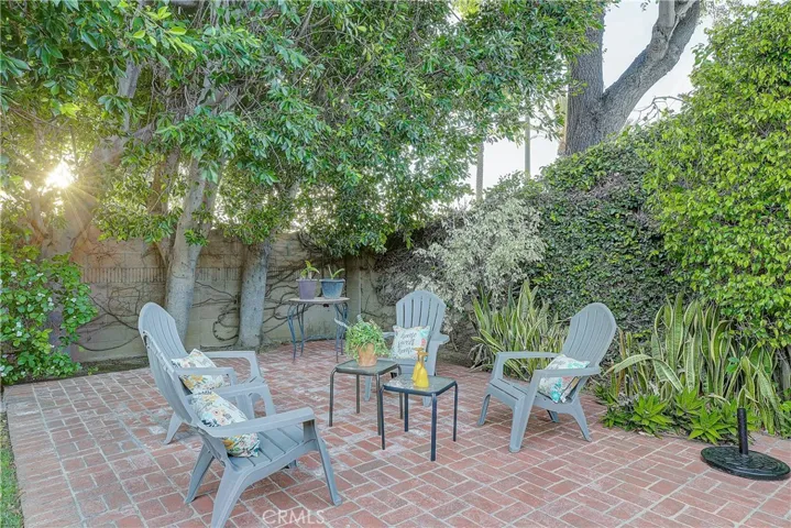 Backyard 2