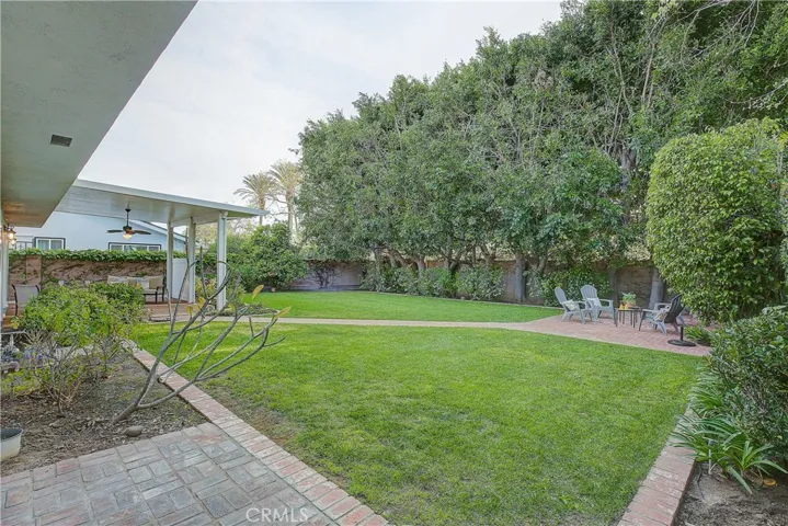 Backyard 1