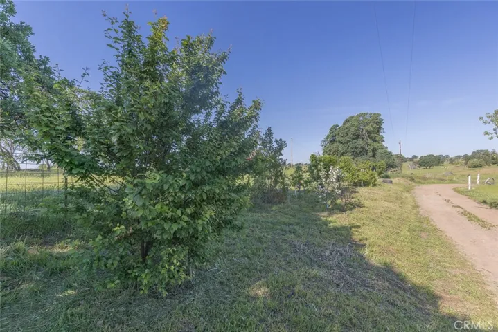 1990 Las Mariposas Lane, Catheys Valley, California 95306