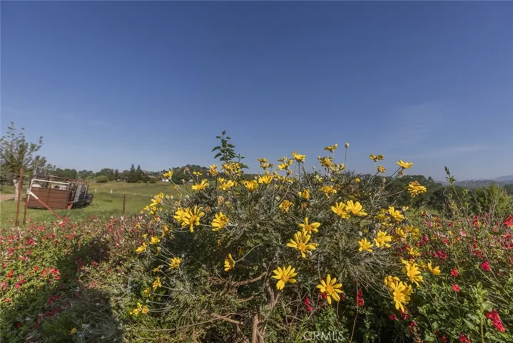 1990 Las Mariposas Lane, Catheys Valley, California 95306