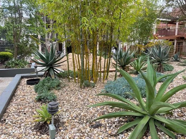 4159 El Camino Way C, Palo Alto, California 94306