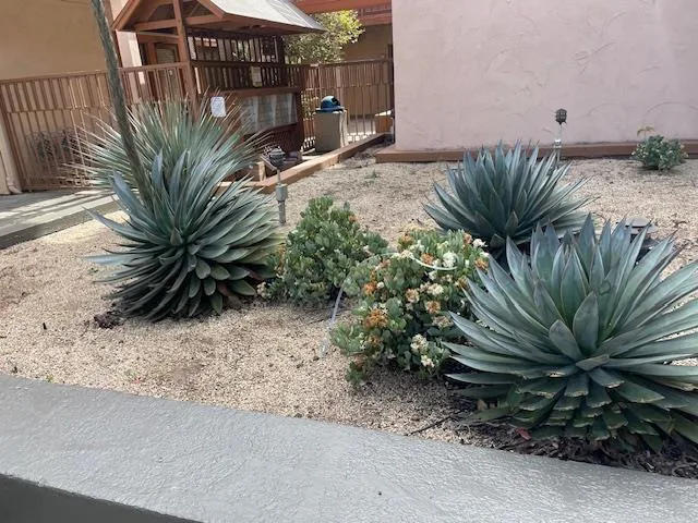 4159 El Camino Way C, Palo Alto, California 94306