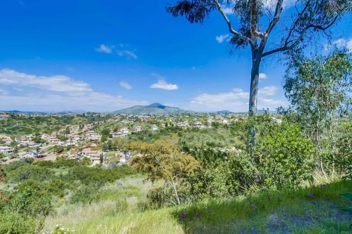 Patio view of Bonita Valley canyon