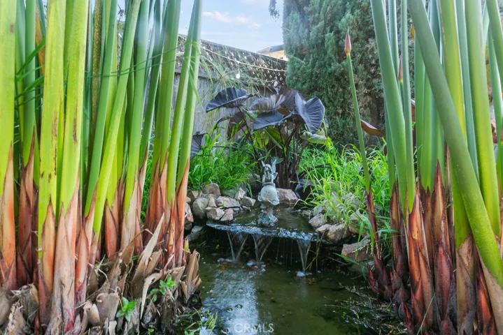 Natural filtration system keeps chemicals out of the pond and creates a beautiful oasis for birds and butterflies to enjoy