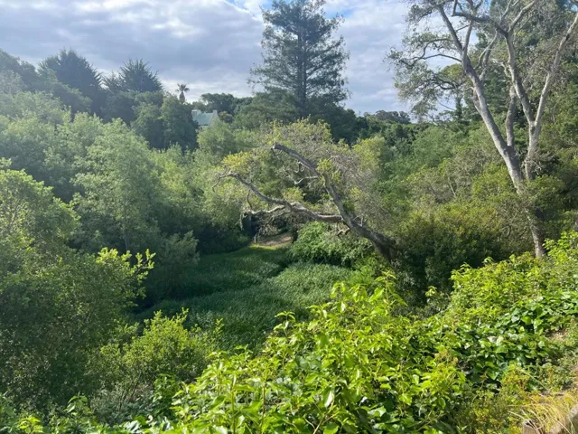 800 Brommer Street, Santa Cruz, California 95062