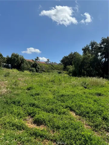 441 S Peralta Hills Drive, Anaheim Hills, California 92807