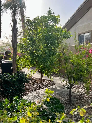 39552 Majorca S_48_backyard
