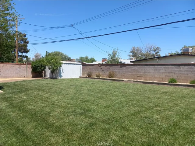 Backyard & Shed