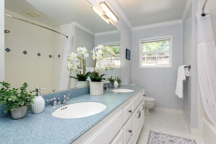 1133 Vernon Terrace, San Mateo, California 94402