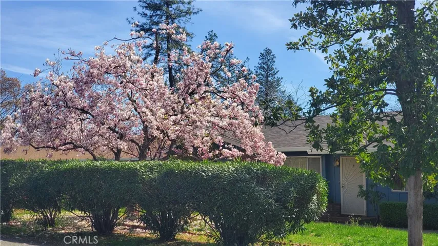 1854 Salida Way, Paradise, California 95969