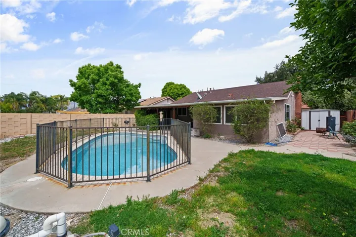 Pool and Backyard