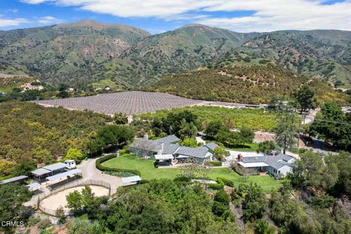 DJI_0316_1