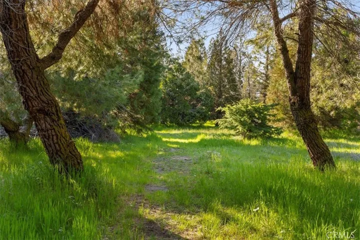 28601 Cumberland Road, Tehachapi, California 93561