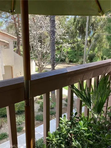 view from patio
