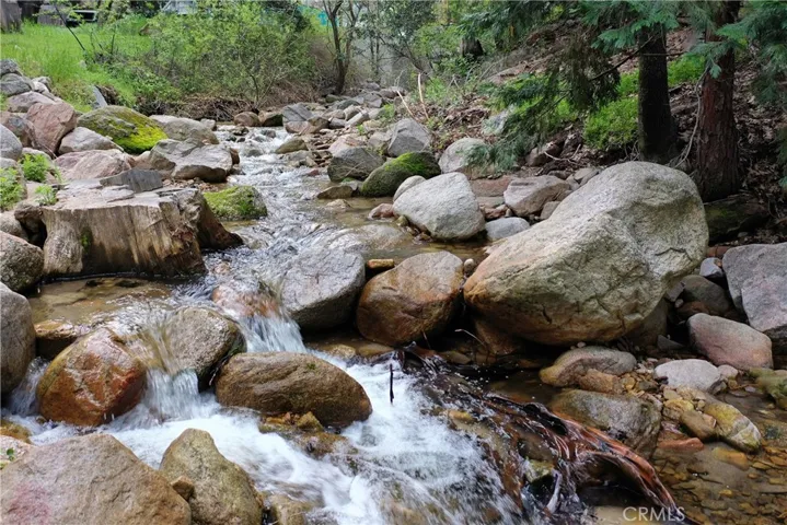 stream behind house