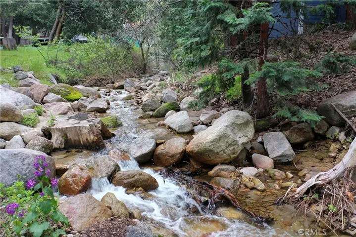 stream behind house