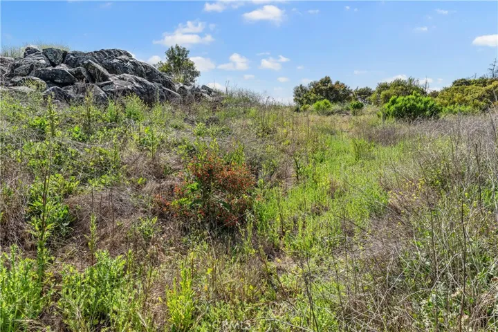 Entrance to flattened area / possible future building site.