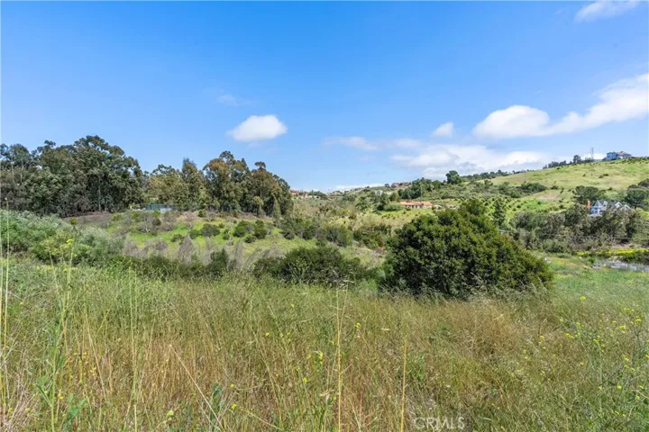 0 Sycamore Mesa Rd., Temecula, California 92590