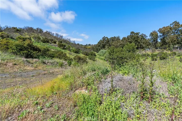 0 Sycamore Mesa Rd., Temecula, California 92590