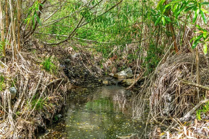 Possible riperan water rights!