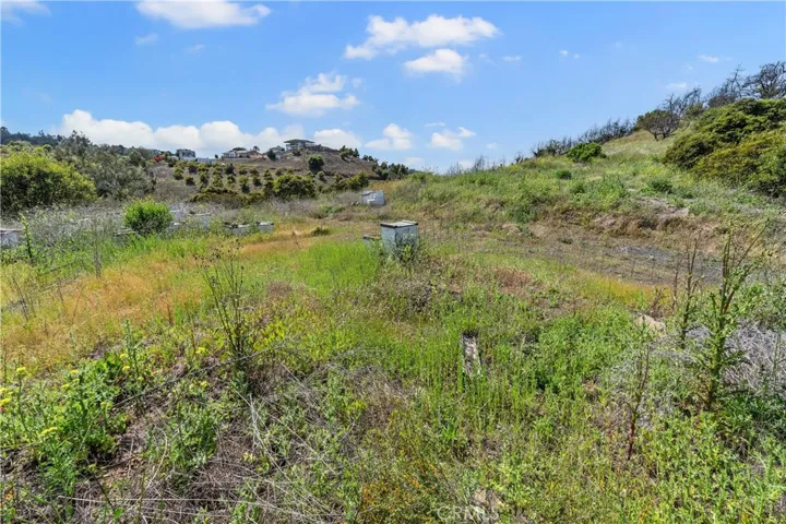 Current bee hives on property / proposed future possible building site.