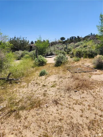 569 Tamarack Road, Pinon Hills, California 92372
