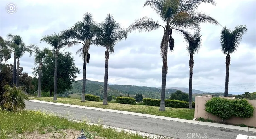 1160 S Tamarisk Drive, Anaheim Hills, California 92807