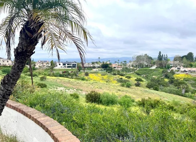 1160 S Tamarisk Drive, Anaheim Hills, California 92807