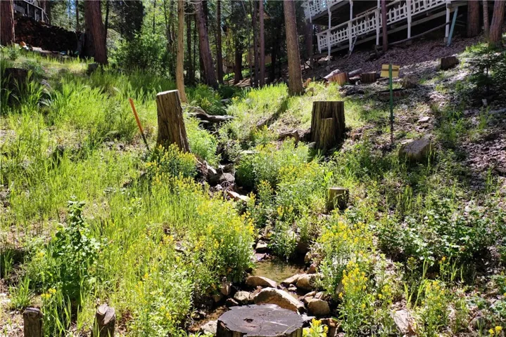 27120 Peninsula Drive, Lake Arrowhead, California 92352