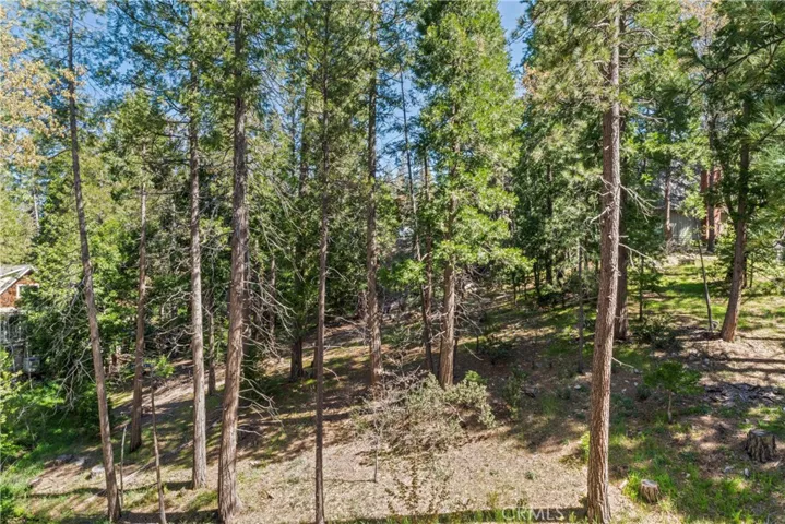 27120 Peninsula Drive, Lake Arrowhead, California 92352