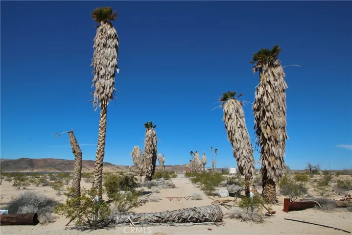 4242 Lear Avenue, 29 Palms, California 92277
