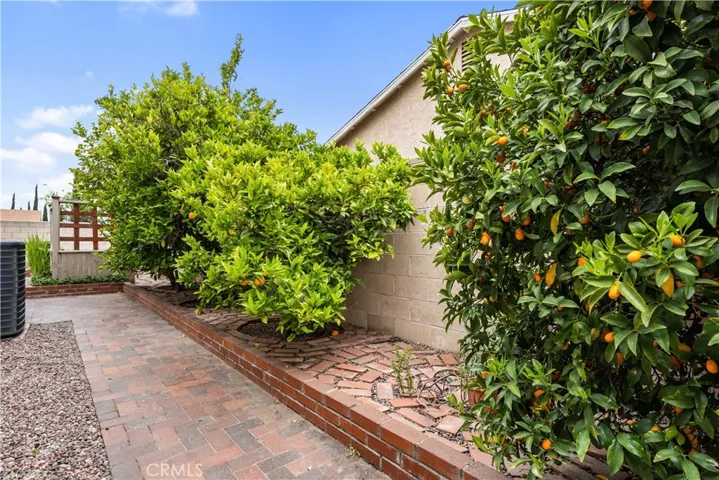 Fruit Trees