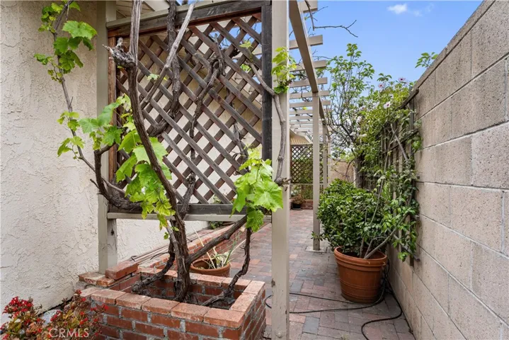 Garden and Fruit Trees