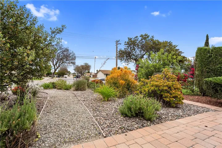 Front Plants home view