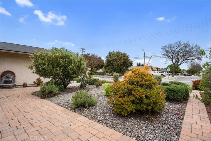Front Plants home view