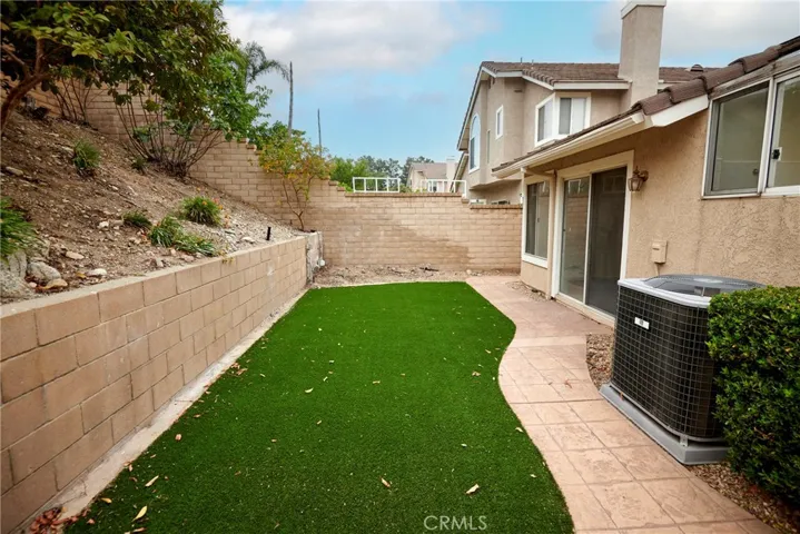 Backyard Turf