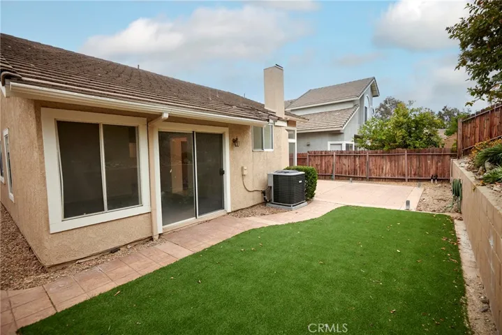 Backyard Turf