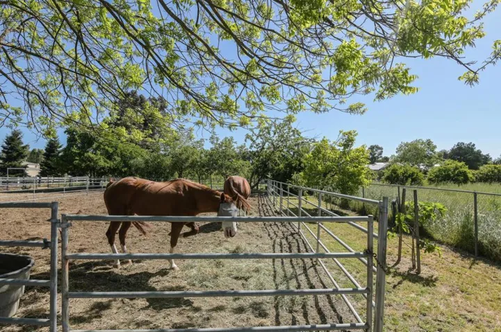 12130 Columbet Avenue, San Martin, California 95046