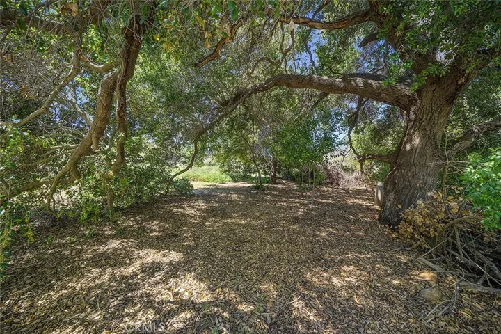 HOW ABOUT THIS FOR A PICNIC SPOT?  YOU CAN HEAR THE RUNNING WATER!