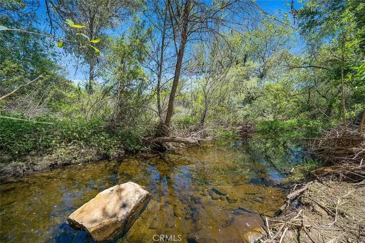 YEAR ROUND STREAM